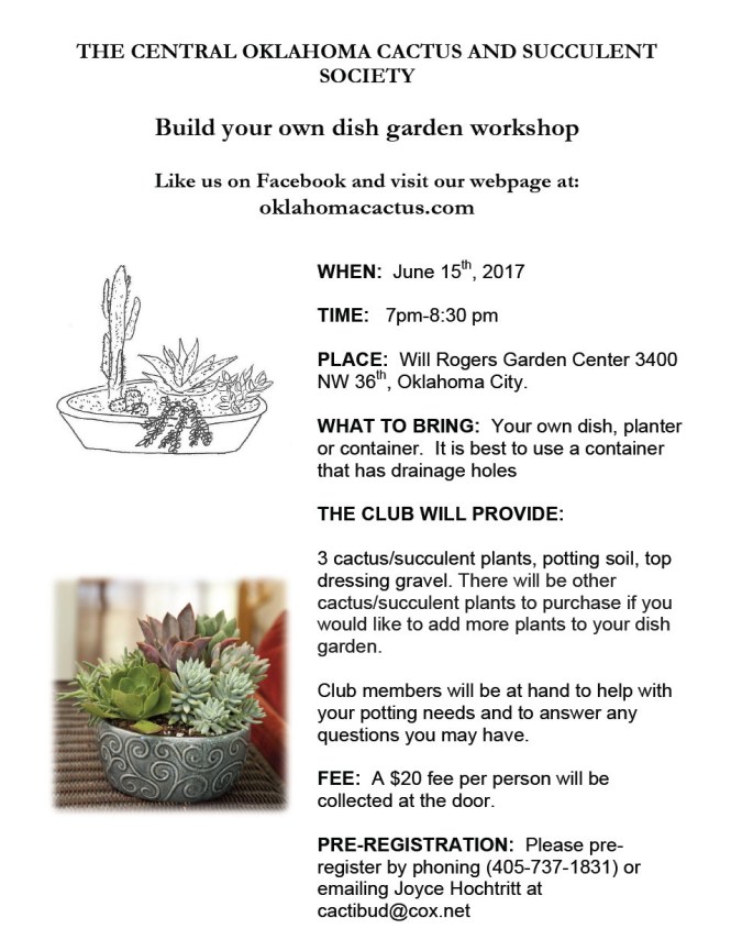 dish-garden-workshop