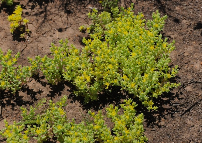 DSC_2560 - Version 2.jpg