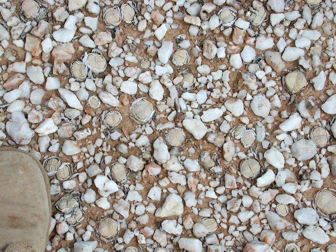 dscn7948-version-2mod2