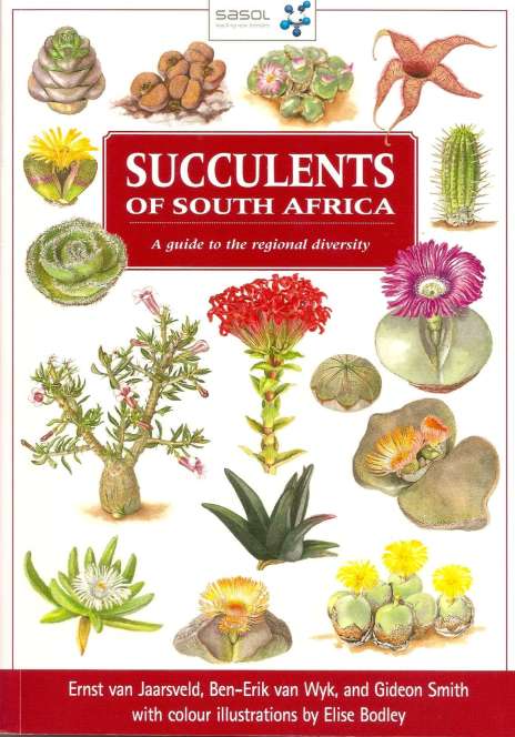 succulents of south africa